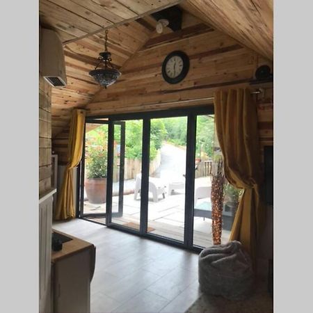 The Shed . A Cosy, Peaceful, 96% Recycled, Chalet. سوانسي المظهر الخارجي الصورة