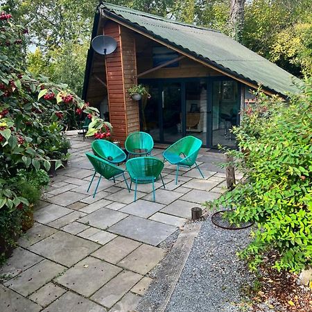 The Shed . A Cosy, Peaceful, 96% Recycled, Chalet. سوانسي المظهر الخارجي الصورة