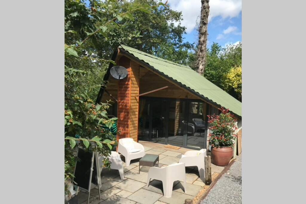 The Shed . A Cosy, Peaceful, 96% Recycled, Chalet. سوانسي المظهر الخارجي الصورة